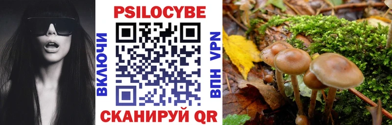 что такое   Павловская  Галлюциногенные грибы Psilocybe 