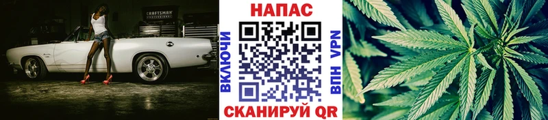 МАРИХУАНА план  Павловская 